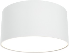 Потолочный светильник Zon C032CL-12W3K-RD-W