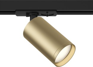 Трековый светильник Focus TR020-1-U-GU10-BMG