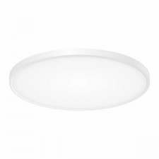 Потолочный светильник Бейсик CL738500V