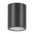 Уличный светодиодный светильник Maytoni Bar O306CL-L12GF