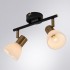 Спот Arte Lamp Falena A3117PL-2BK Спот Arte Lamp Falena A3117PL-2BK