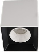 Точечный светильник DK3020WW DK3080-WB+WH