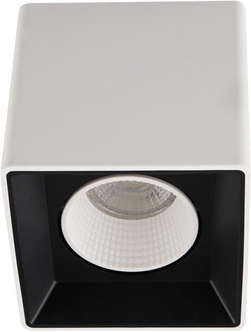 Точечный светильник DK3020WW DK3080-WB+WH