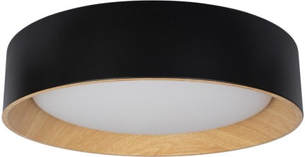 Потолочный светильник Coin 10202 Black