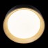 Потолочный светильник Coin 10202 Black
